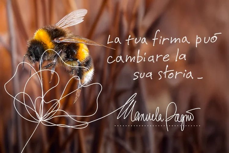 Dona il tuo 5x1000 alla Natura 